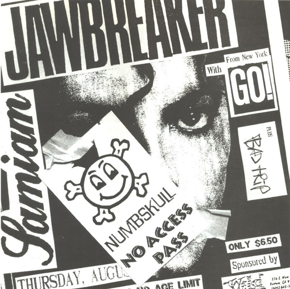 Meet your Posher, Ari - Picture 1 of 1